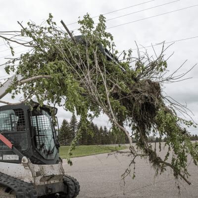 Clamshell Grapple for Skid Steer, angled view, black with greenery clamped for debris handling.