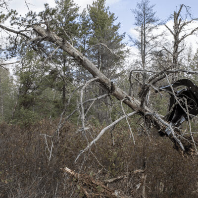 Prime Attachments Skid Steer Tree Puller Attachment, angled view, black with sturdy gripping jaws.