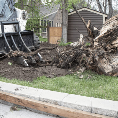 Prime Attachments Skid Steer Rock & Root Ripper, black, angled view with rugged teeth for heavy-duty tasks.