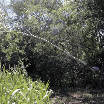 Skid Steer Tree Puller Attachment by Prime Attachments, angled view, metallic construction, equipped for tree removal.