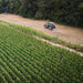 Firminator G3 - Disks and Cultipackers in agricultural field with green crops and machinery.