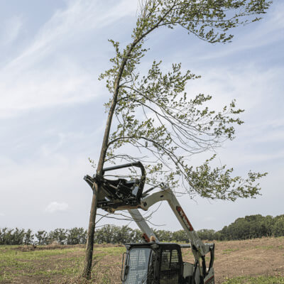 Prime Attachments Skid Steer Tree Puller angled view, with a tree being lifted and greenery.