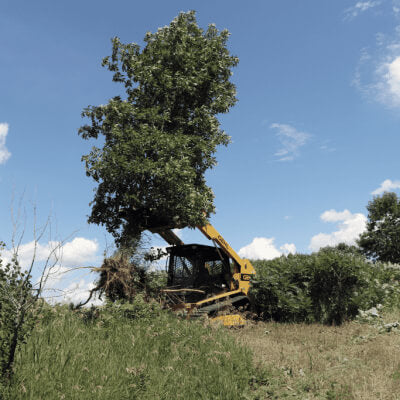 Skid Steer Tree Puller Attachment by Prime Attachments angled view, yellow with sturdy grasping arms.